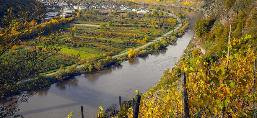 Mit perfekt gereiftem Wein bei Gästen punkten und unvergesslich genießen