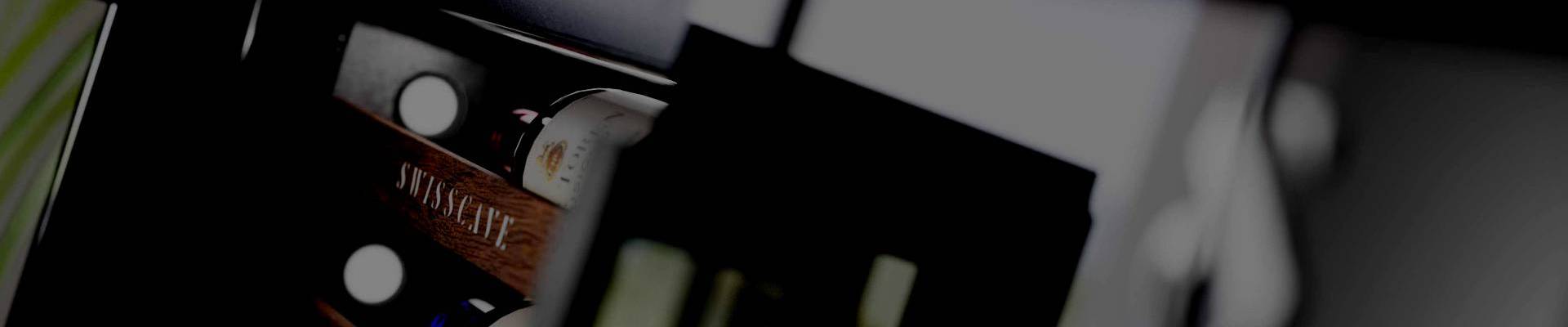 About SWISSCAVE